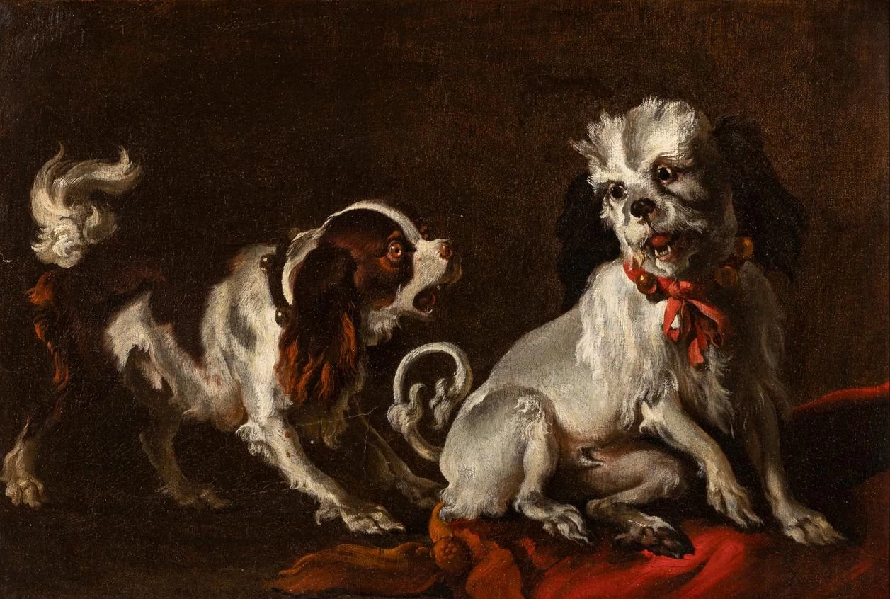 Due cani 'spaniel' che giocano - attribuito